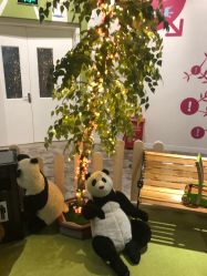 -幻贝家儿童乐园(苏州中心店)