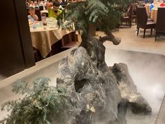 -宝园酒家(美林M·LIVE天地东座店)
