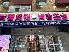 -青奢宠物·青奢猫舍