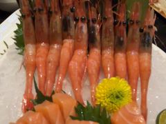 -極上萬膳·日料放题(海岸城店)