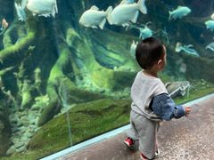 -哈尔滨波塞冬海底世界