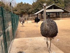 -宿豫区运河湾森林动物园