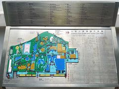 -九龙公园