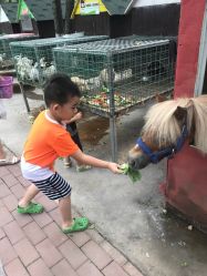 -蓝可可亲子乐园(北苑店)