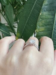 -Zbird钻石小鸟·钻戒婚戒定制高端珠宝私人定制中心