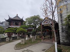 -碧江金楼