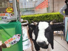 -西湖文化广场