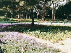 -燕郊植物园
