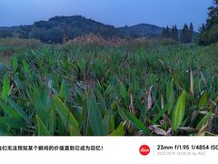 -广州市白云山风景名胜区