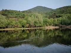 -石塘人家