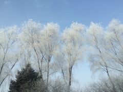 太平国际机场-哈尔滨太平国际机场