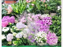 -三旗百汇商品城