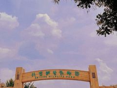 -北京野生动物园