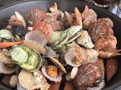 -大锅强·蒸海鲜青岛菜(吾悦广场店)