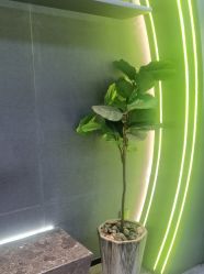 -不迫先生专业男士剪发