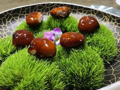 -鹿园 MOOSE(长宁店)