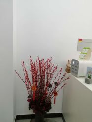 -久匠半永久纹眉