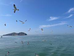 -海驴岛(荣成市)