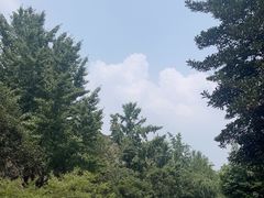 -北极阁公园