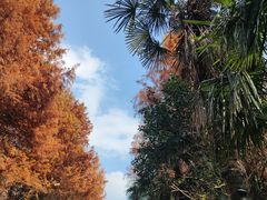 -上海海湾国家森林公园