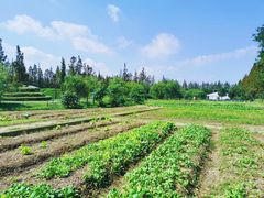 -前小桔亲子创意农场·草莓采摘·露营烧烤