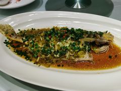 -沪碟·精菜坊(闵行店)