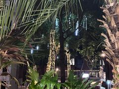 -Molee·泰府(东郊店)