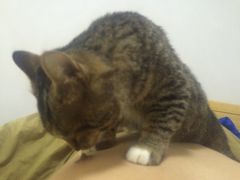 -水月·和牛工坊(水晶郦城店)