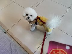 -全心全意连锁动物医院·特色中医诊疗(会城门分院)