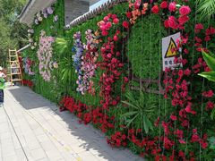 -莲花池公园