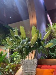 -花隐·美芙炫海菲秀皮肤管理中心