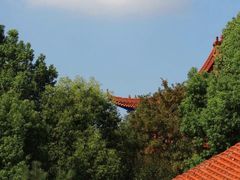 -开福禅寺