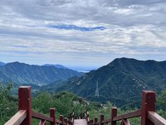 -大岭沟猕猴桃谷风景区