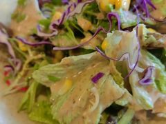 -天正河鲀·河豚亭(大连店)