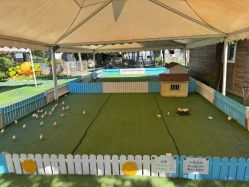 -萌宠亲子动物乐园(槐房万达店)