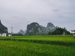 -明仕田园