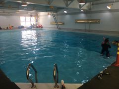 -上海潜殿潜水中心