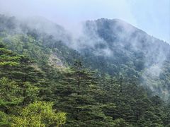 -神农架景区
