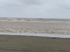 -启东黄金海滩景区