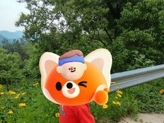 -长沙黑麋峰国家森林公园