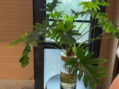 -红鼎豆捞·专注品质海鲜20年(宝丰路店)