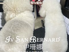 -宠Ta宠物生活馆(济宁任城区)