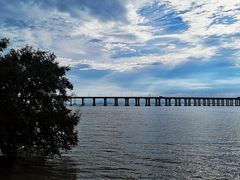 -宝安西湾红树林湿地公园