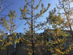 -平安里(地铁站)