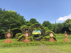 -径山花海