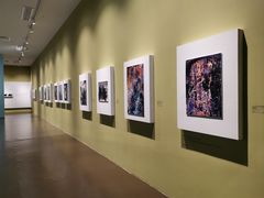 -中华艺术宫(上海美术馆)