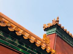 -颐和园