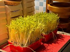 -番食园鲜食火锅(高新店)