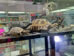 -乐宠宠物店(世纪金源店)