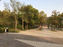 -新江湾城公园